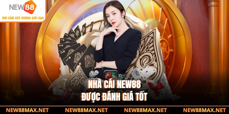 Nhà cái NEW88 được đánh giá tốt